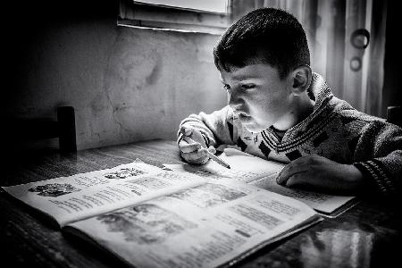 Distance learning, Semyonovka, Armenia