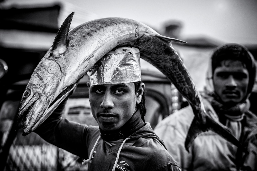 Fish carrier von Marcel Rebro