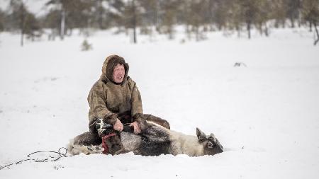 Jigorij catches reindeer