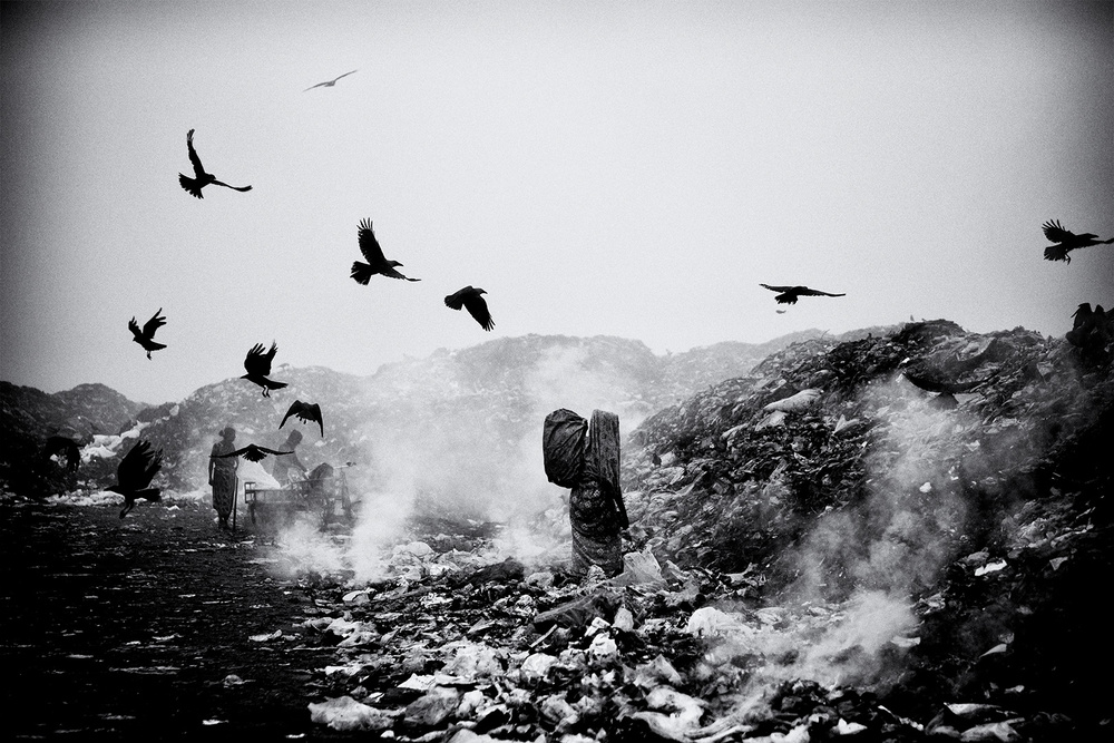 Life on garbage dump yard III von Marcel Rebro