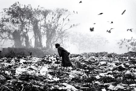 Life on garbage dump yard