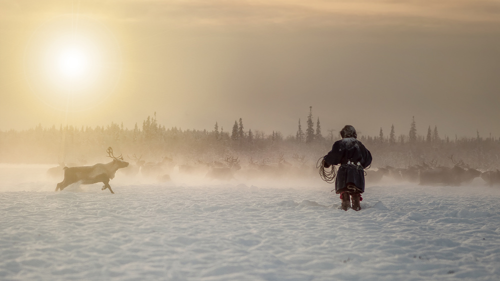 Reindeer hunter von Marcel Rebro