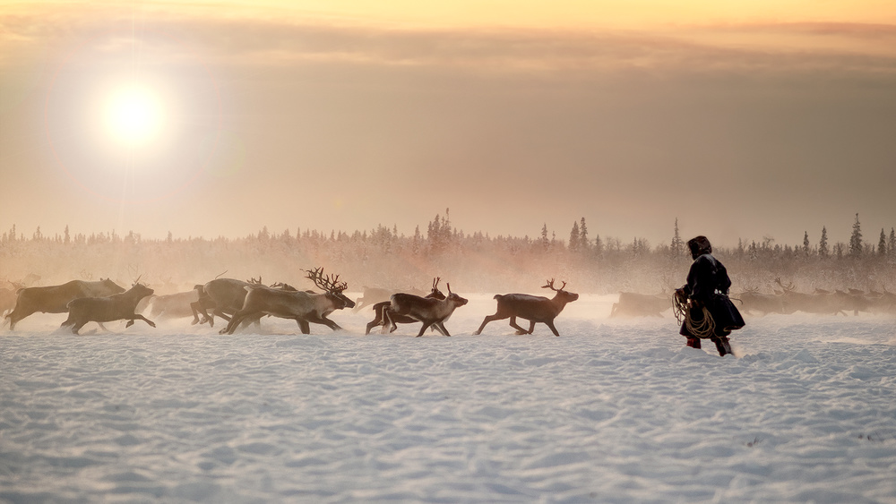 Reindeer hunter von Marcel Rebro