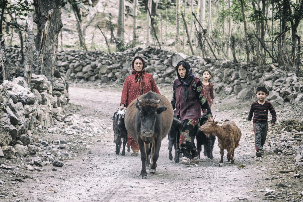 Tajik women and livestock on the way from pastures von Marcel Rebro