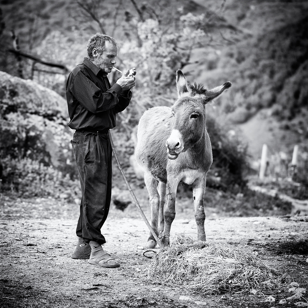 Vova and his donkey von Marcel Rebro