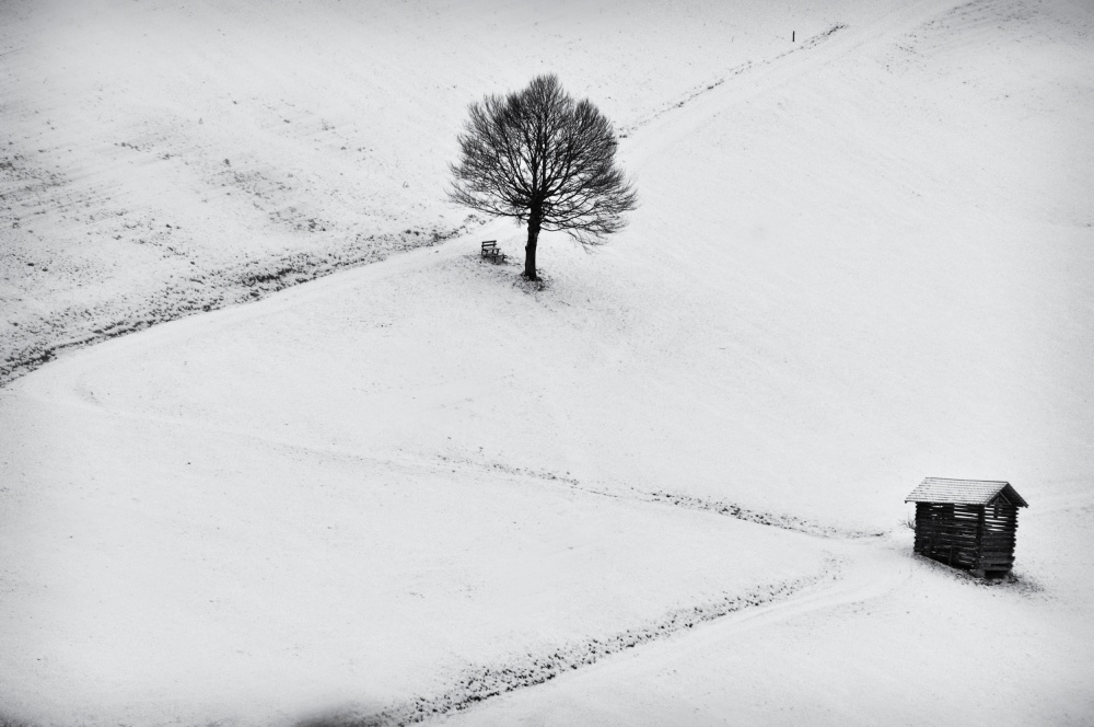 Solitude von Marchevca Bogdan