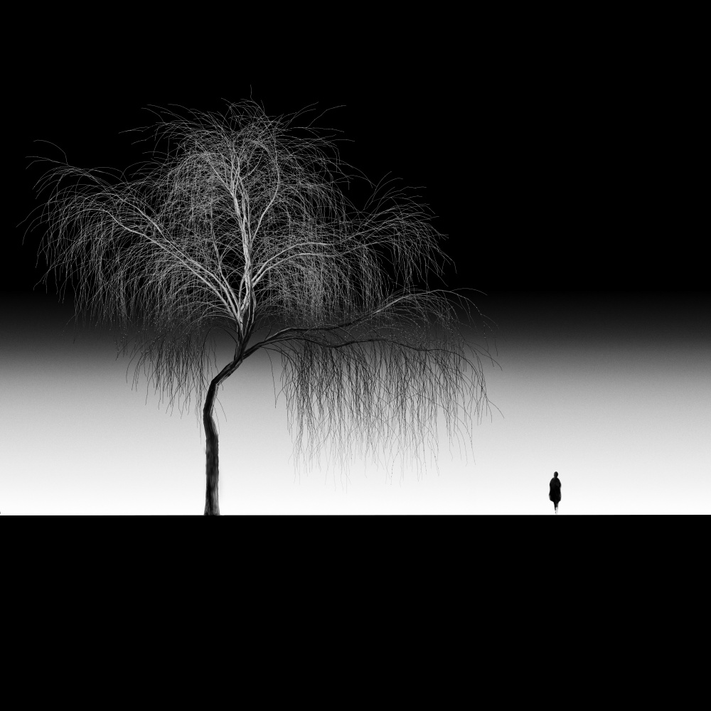 In Solitude von Marchevca Bogdan