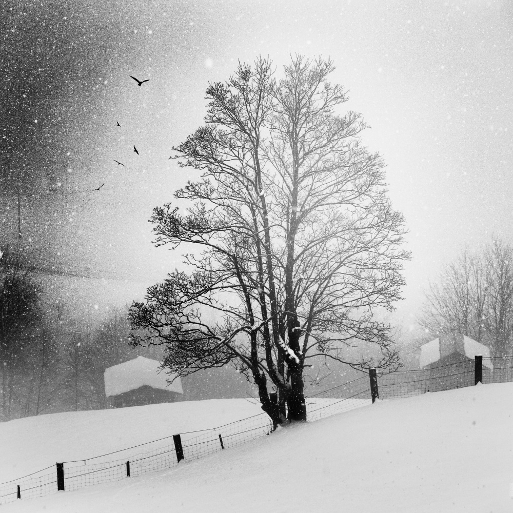 soft Winter von Marchevca Bogdan