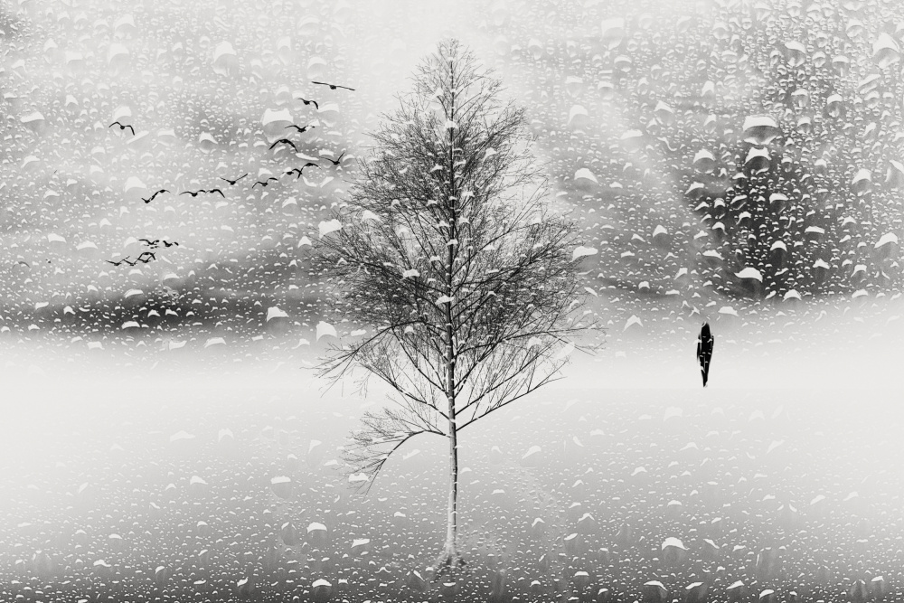 Winter Rain von Marchevca Bogdan