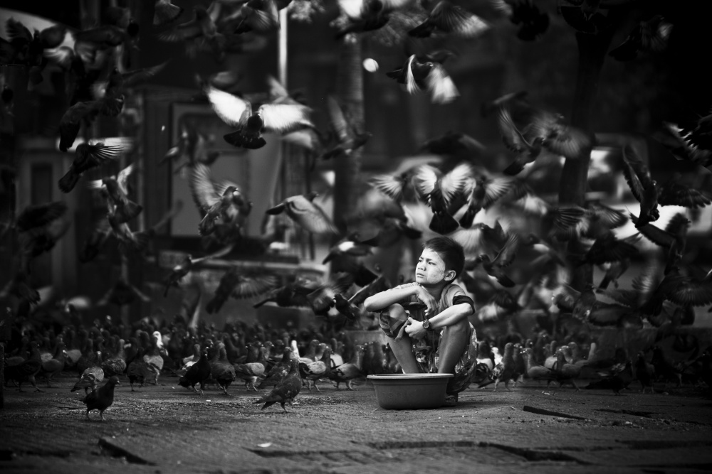 Myanmars boy with pigeons von Marcin Bublewicz