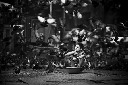 Myanmars boy with pigeons