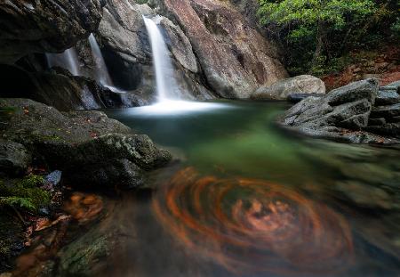 il vortice delle foglie dautunno