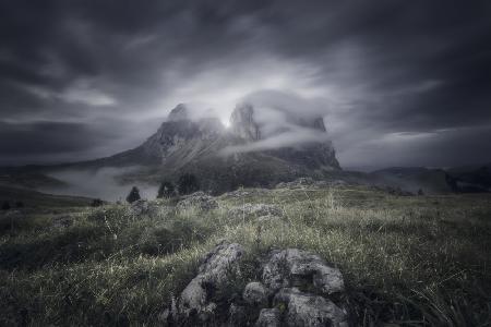 Misty Sella