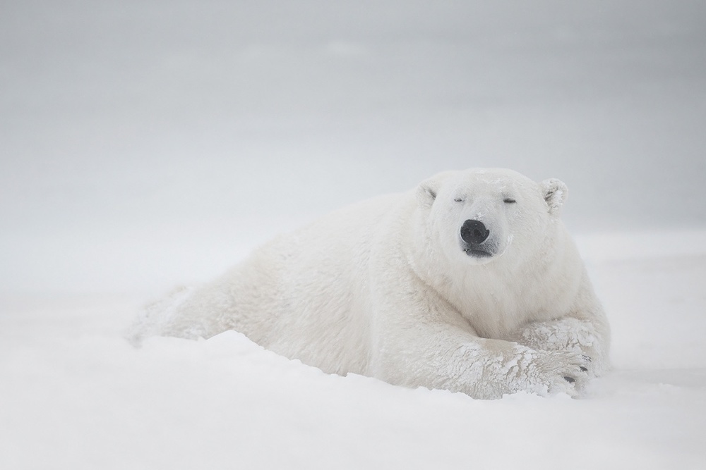 Frozen sleep von Marco Pozzi