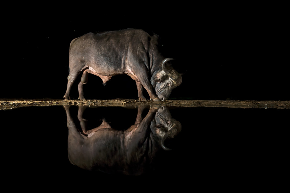 Mirror von Marco Pozzi