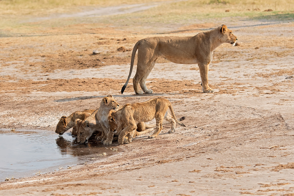 drinking pole von Marco Pozzi