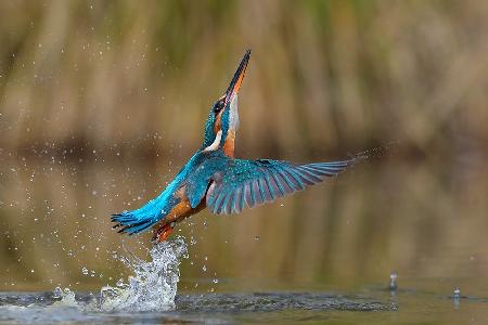 Flying over water