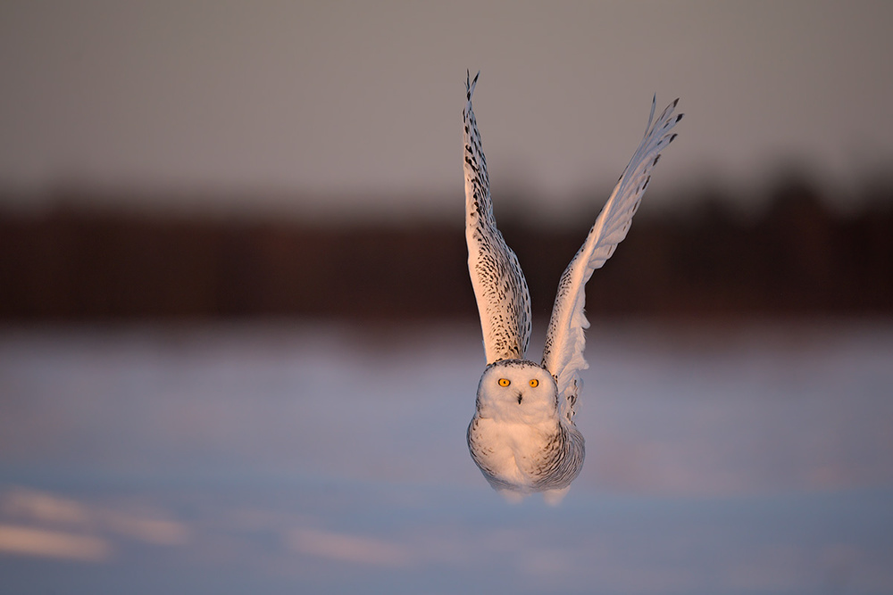 Before the take-off von Marco Pozzi