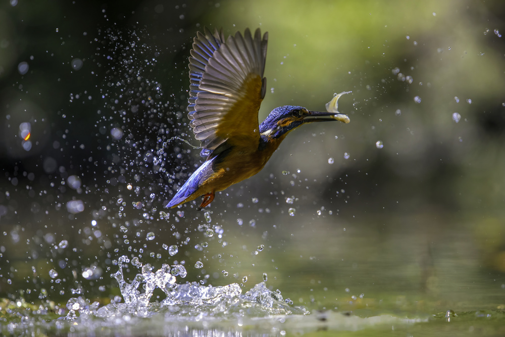 Fishing von Marco Redaelli