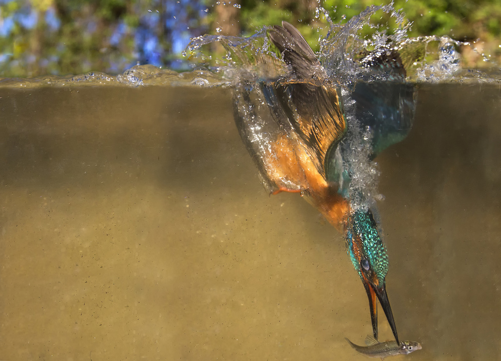 The fatal moment von Marco Redaelli