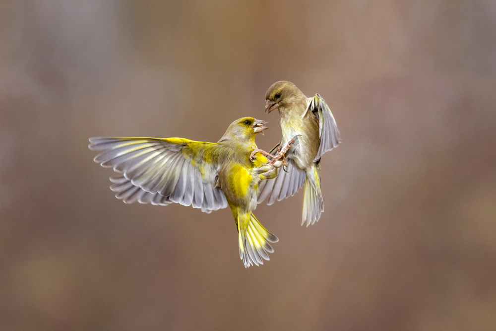 Lets hold hands von Marco Redaelli