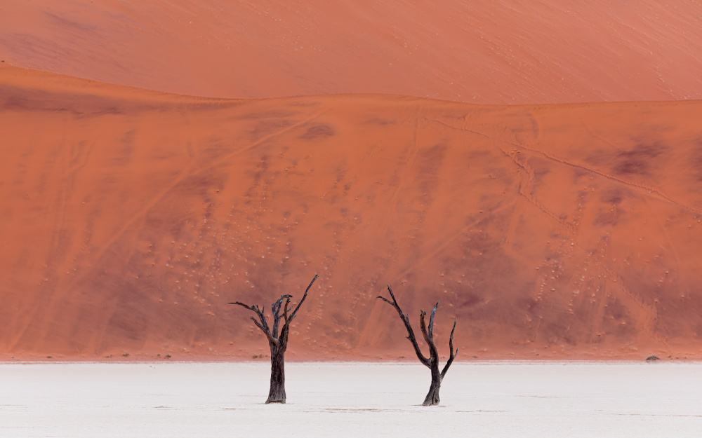 Simplicity of the beauty von Marco Tagliarino