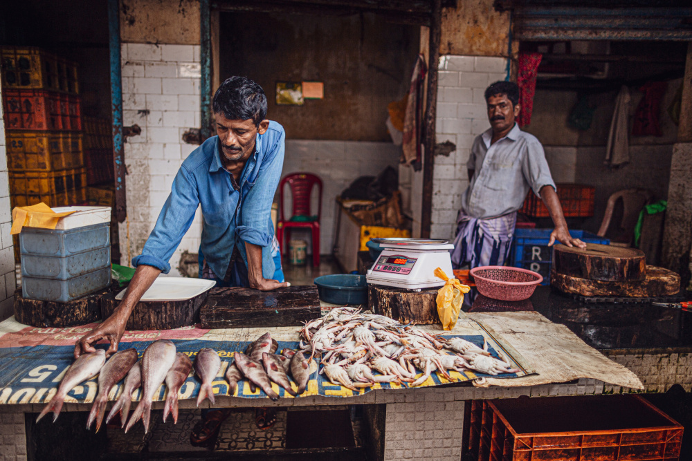 Fishmonger of Chocin von Marco Tagliarino