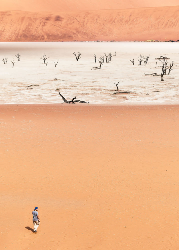 Walking in deadvlei von Marco Tagliarino