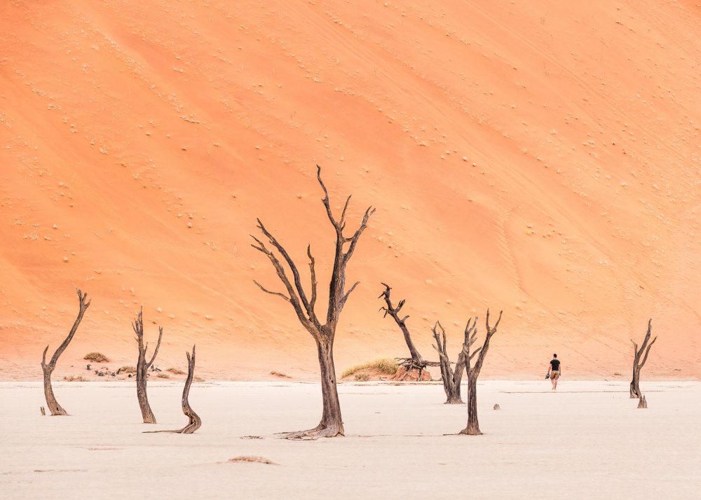 Walking in deadvlei von Marco Tagliarino