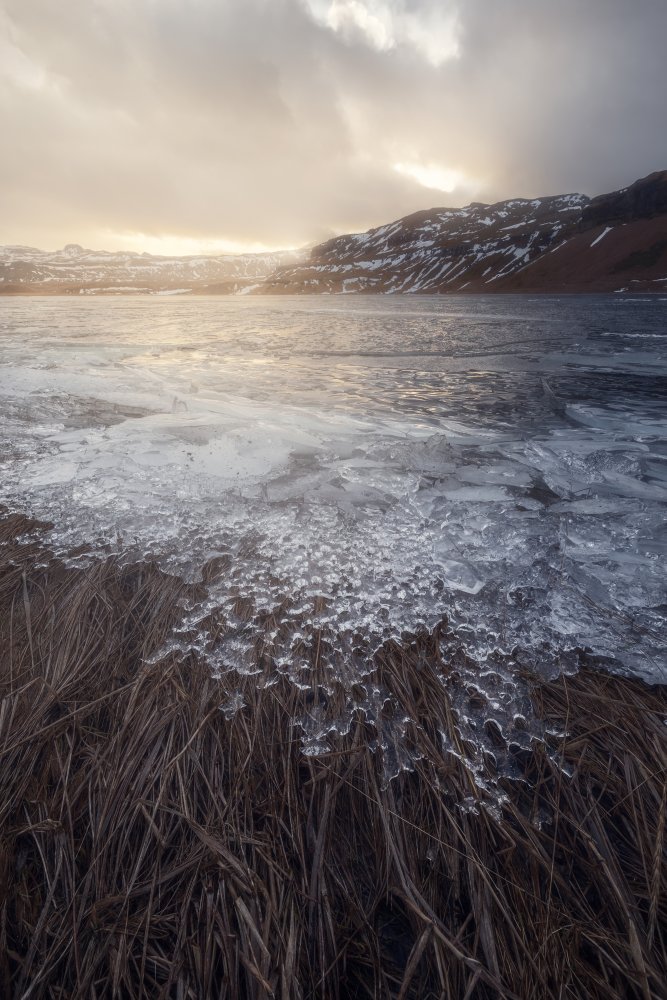 Ice Hair von Marco Trabalza