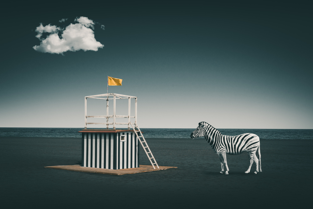 Zebra style von Marcus Hennen