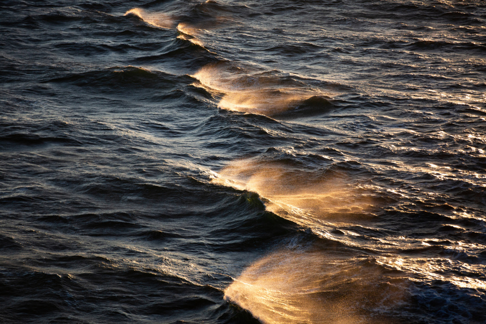 Sunkissed Waves von Mareike Böhmer