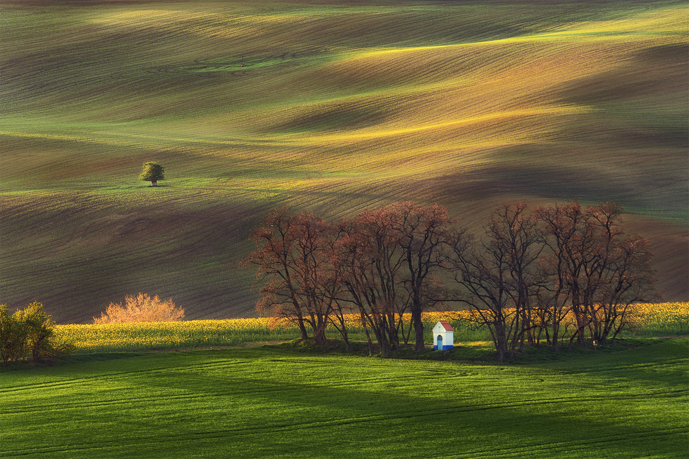 Contemplation in the fields von Marek Ondráček