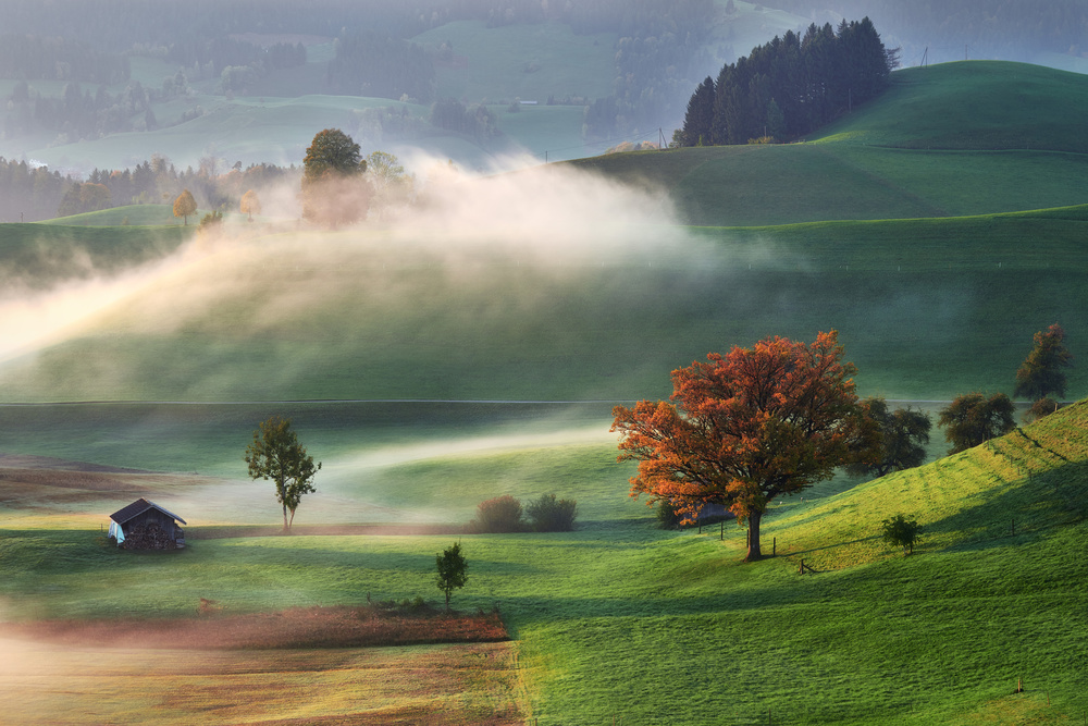 Caressed by mist von Marek Ondráček