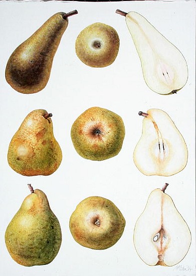 Six Pears, 1994 (w/c on paper)  von Margaret Ann  Eden