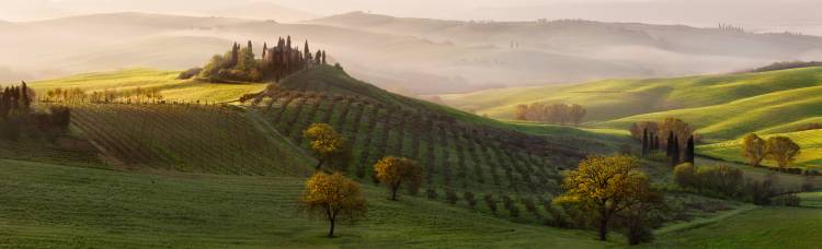 Tutte le Strade Portano a Belvedere von Margarita Chernilova