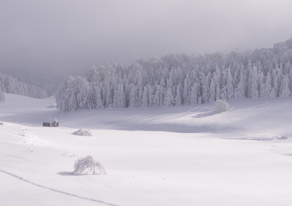 Sun and mist von Marian Negrea