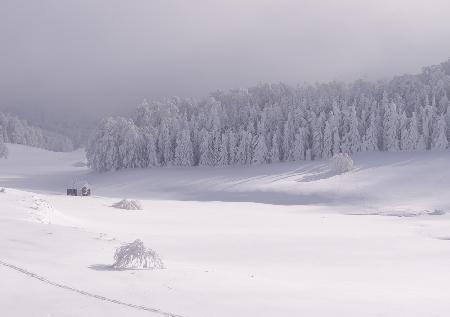 Sun and mist