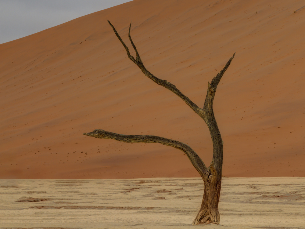 Deadvlei, Sossusvlei, Namibia von Mariana van der Walt