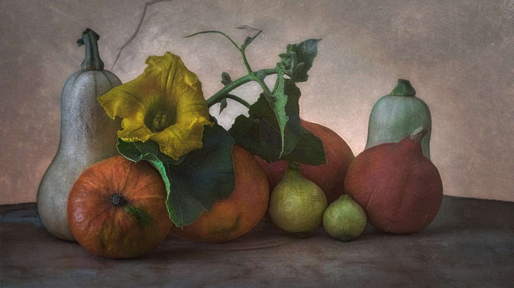 Autumn Harvest von marie-anne stas