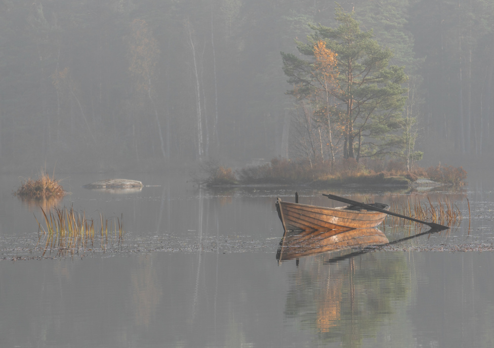 sun through the fog von Marie Berglund