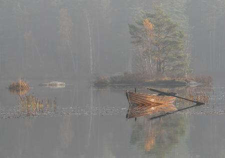 sun through the fog