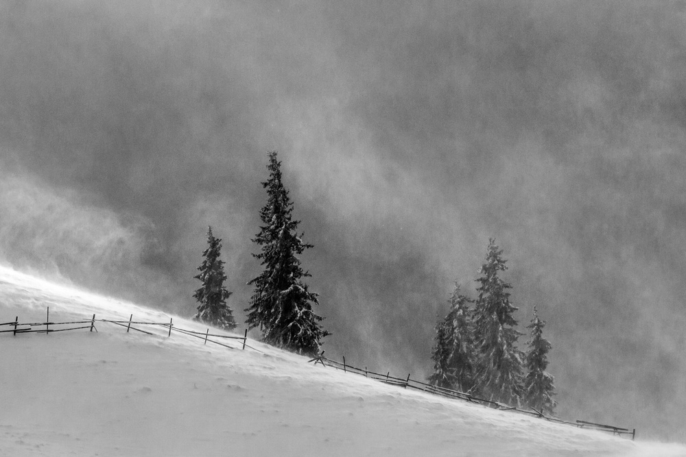 Big snowstorm von Marina Sveduneac