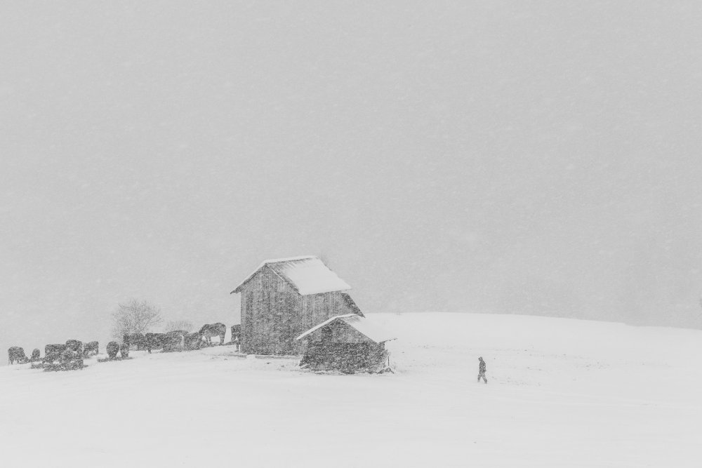 Winter von Marina Sveduneac