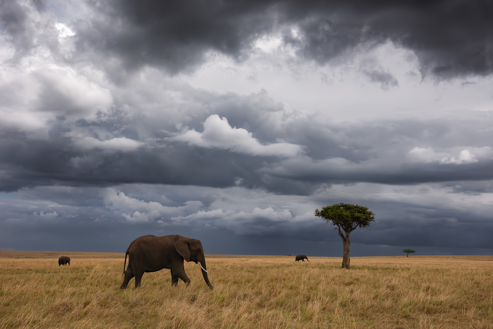 African sky von Mario Vigo