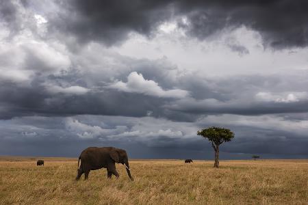 African sky