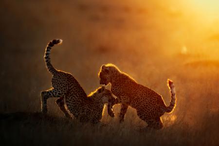 Playing at sunrise