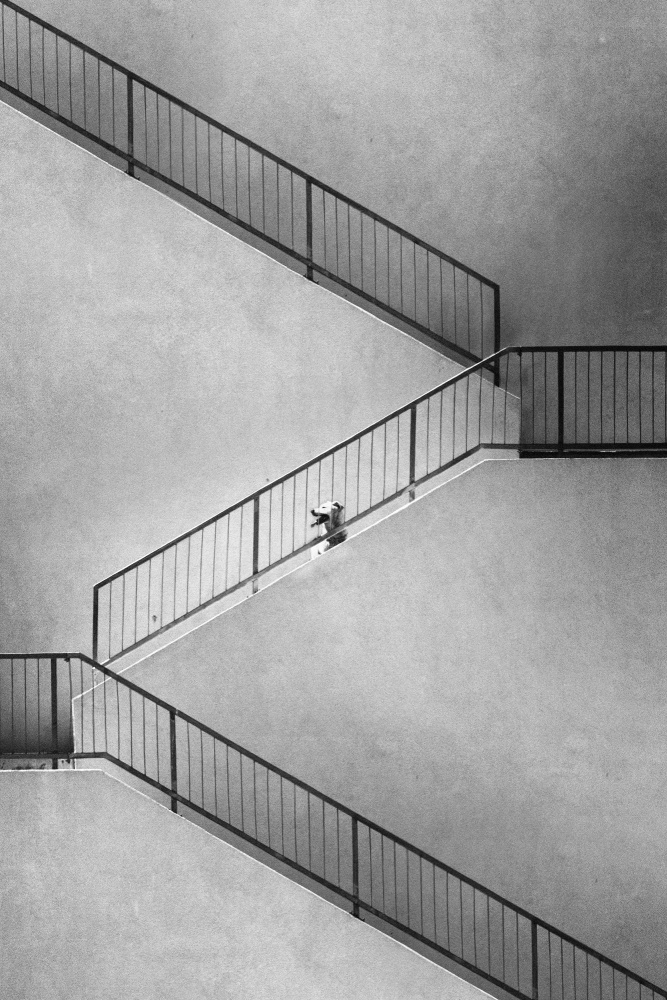 Ascending perspective von Marius Cinteza