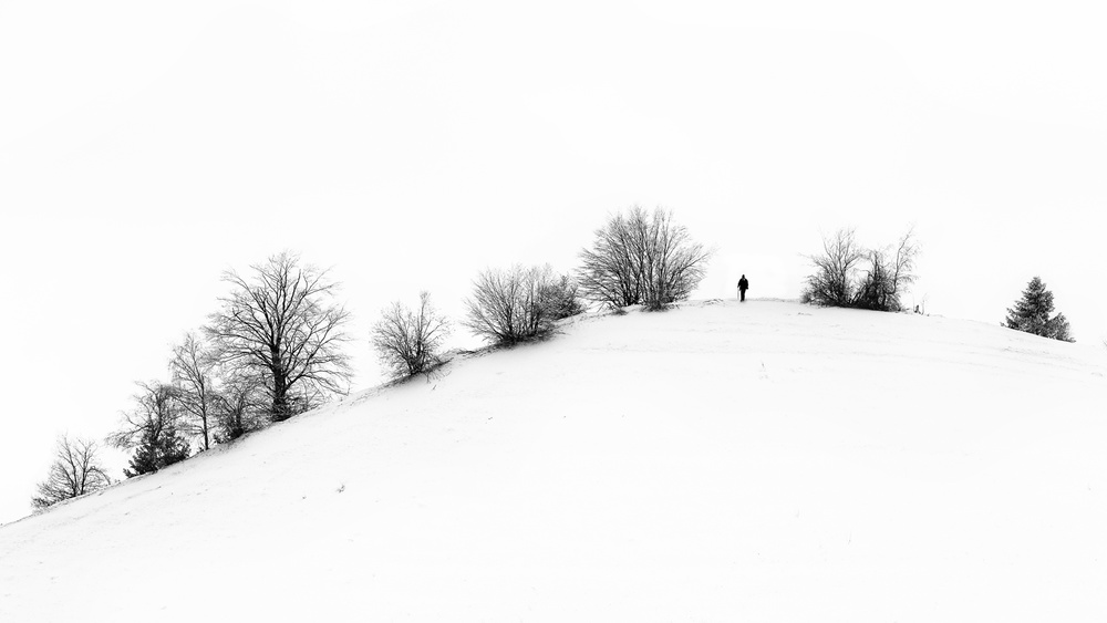 Winter von Marius Cinteza