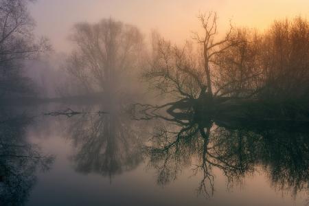 Misty backwaters